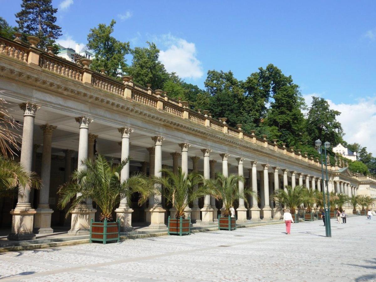 Apartman Rezidence Certovka 2121 Free Parking Garage Karlovy Vary Kültér fotó